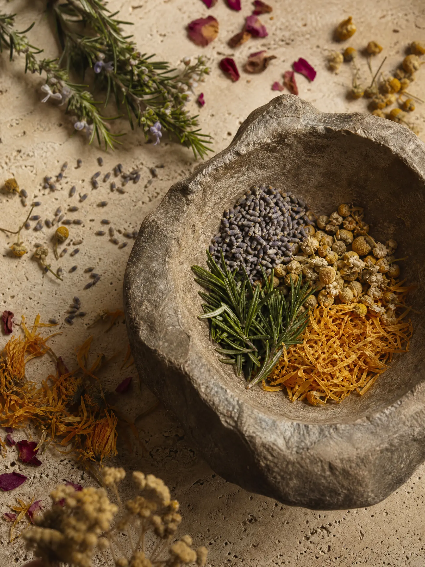 Botanical herbs prepared for a scalp treatment